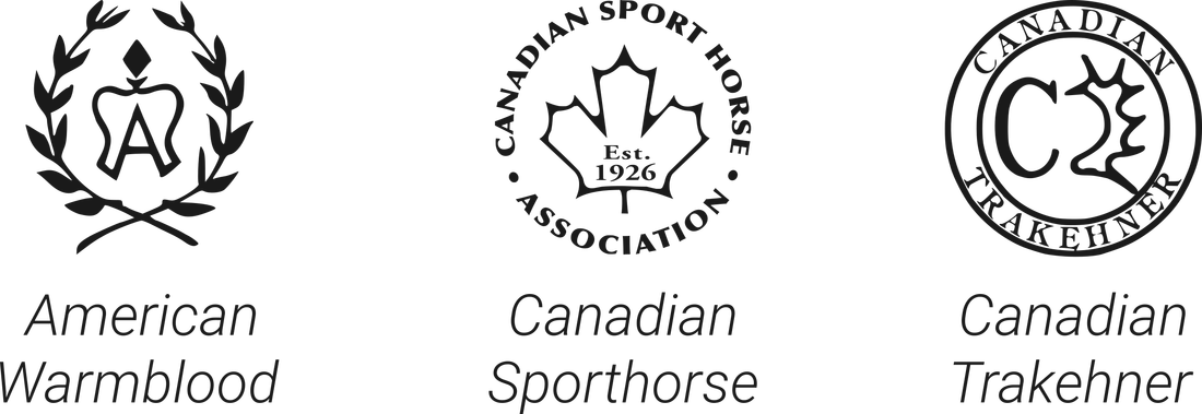 Sporthorse certifications